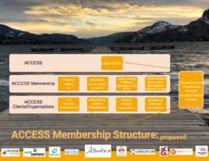 Shared services membership structure